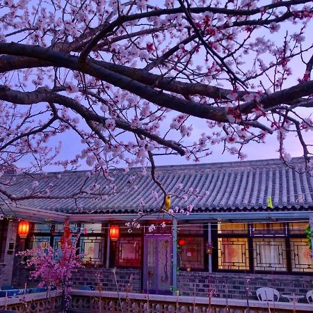 Beijing Badaling Great Wall Caos Courtyard Hostel 1Vip Service 2Ancient Style Chinese Yard 3 Only 15 Minutes Walk To The Badaling Great Wall 4 Be Your Free Advisor 5 Offer Private Guided Tour 6 Experience Local Food And Culutre Yanqing Exterior photo