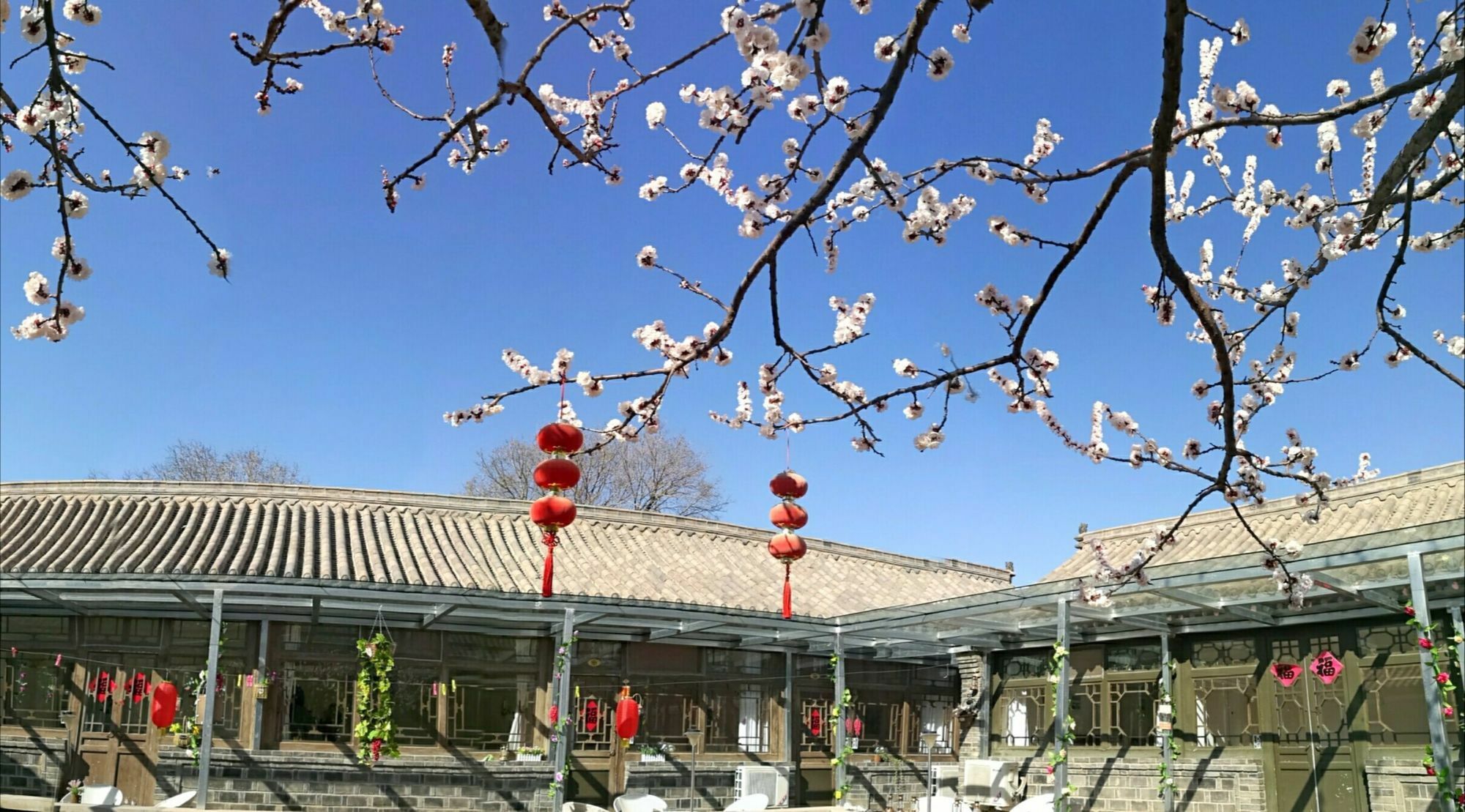 Beijing Badaling Great Wall Caos Courtyard Hostel 1Vip Service 2Ancient Style Chinese Yard 3 Only 15 Minutes Walk To The Badaling Great Wall 4 Be Your Free Advisor 5 Offer Private Guided Tour 6 Experience Local Food And Culutre Yanqing Exterior photo